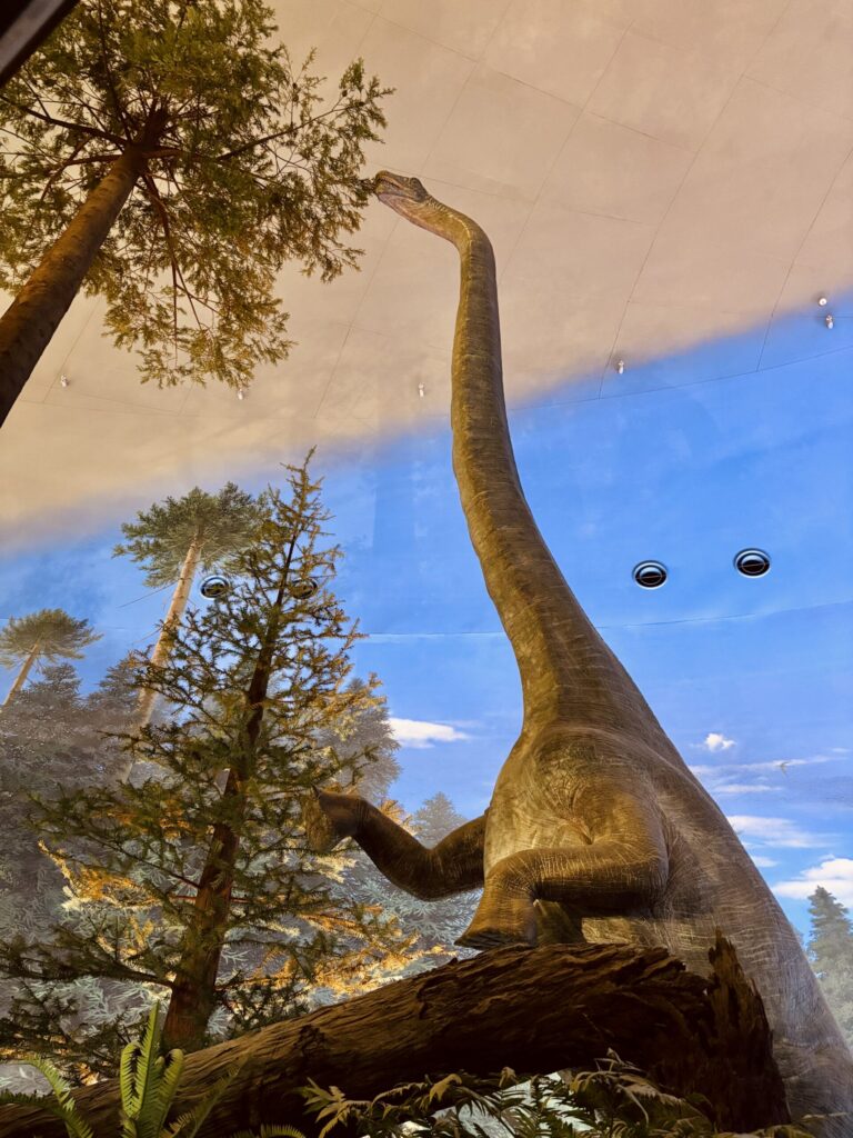 福井県立恐竜博物館　福井県