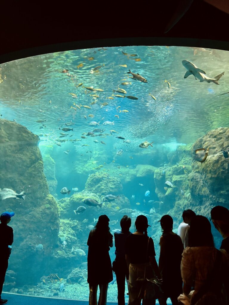新江ノ島水族館　江ノ島　横浜