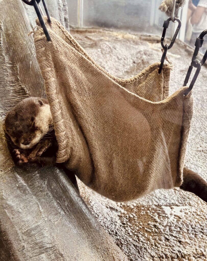 新江ノ島水族館　江ノ島　横浜