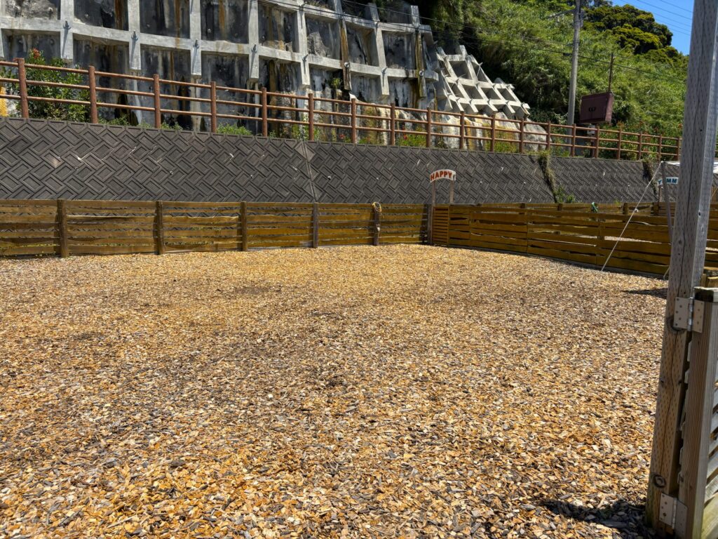 THE DOG DEPT GARDEN RESORT 安房白浜 柵付きサイト 犬連れキャンプ