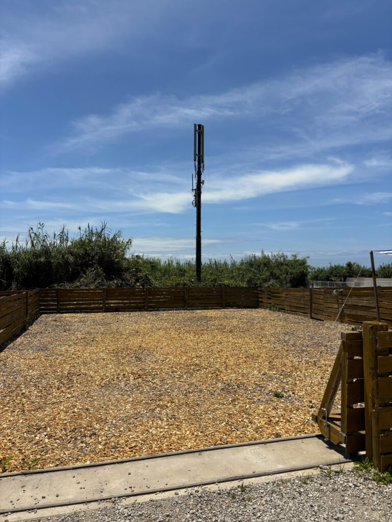 THE DOG DEPT GARDEN RESORT 安房白浜 柵付きサイト 犬連れキャンプ