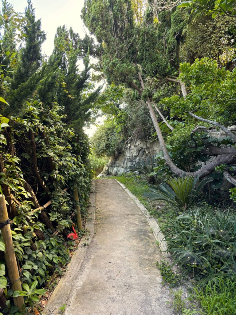 THE DOG DEPT GARDEN RESORT 安房白浜 柵付きサイト 犬連れキャンプ