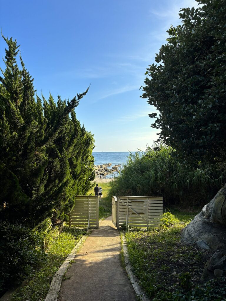 THE DOG DEPT GARDEN RESORT 安房白浜 柵付きサイト 犬連れキャンプ