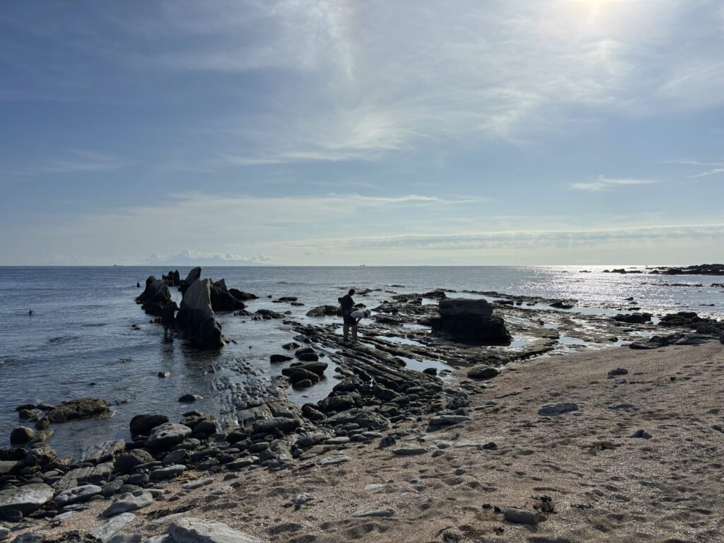 THE DOG DEPT GARDEN RESORT 安房白浜 柵付きサイト 犬連れキャンプ